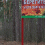 На территории Нижегородской области установлен особый противопожарный режим - Администрация г. Нижний Новгород