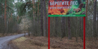4 апреля  местами по Нижегородской области и г. Нижнему Новгороду ожидается усиление ветра - Администрация г. Нижний Новгород