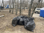 Анастасия Красушкина
