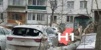 Пять автомобилей получили повреждения из-за упавшего дерева в Нижнем Новгороде - Сетевое издание Живем в Нижнем