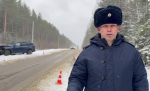 Восемь человек пострадали в ДТП с двумя автомобилями в Нижегородской области - фото 1