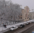 Мокрый снег и дождь ожидаются в Нижегородской области 8 апреля - Нижегородская правда