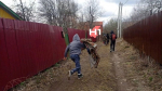 Подростки, которых обвинили в вандализме и вымогательстве