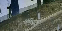 В Арзамасе задержан граффитист-вандал - ИА Нижний сейчас
