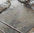 Специалисты нижегородского Минэкологии не нашли белой воды в Рахме - фото 1 - vGorodeN.Ru