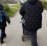 В Нижегородской области появились Готье и Кассандра - ProGorodNN.Ru