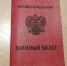 Нижегородские призывники начнут получать электронные повестки в этом году - Сетевое издание Живем в Нижнем