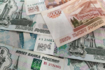 Штрафы за нарушения содержания животных хотят ввести в Нижегородской области