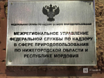 Собранный на субботнике мусор свалили в лесу в Нижегородской области - фото 1