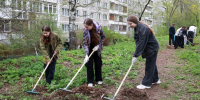 Более 100 активистов приняли участие в субботниках акции «Чисто.Культурно.ТОС» в Нижнем Новгороде - Администрация г. Нижний Новгород