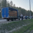 Пчел-нелегалов задержали в Нижегородской области - ГТРК Нижний Новгород