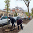 На набережной Гребного канала приступили к посадке свыше 500 деревьев - Время Н