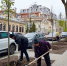В Нижнем Новгороде высадят более 1500 деревьев и кустарников - ProGorodNN.Ru