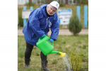 Волжское пароходство