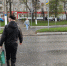 В приличном обществе поднимут на смех: в этом слове нет буквы "З" - ошибается каждый второй - ProGorodNN.Ru