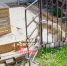 В Кстовском районе алабай загрыз швейцарскую овчарку на глазах у ребенка - ProGorodNN.Ru