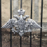Около 20 нижегородцев вернулись домой из украинского плена - фото 1 - vGorodeN.Ru