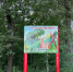 Запрет на посещение лесов ввели в Нижнем Новгороде - фото 1 - vGorodeN.Ru