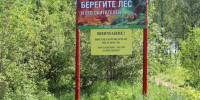 В Нижнем Новгороде действует запрет на посещение лесов из-за высокого риска пожаров - Газета День города. Нижний Новгород