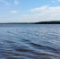 На Горьковском водохранилище установлены искусственные нерестилища - Министерство лесного хозяйства