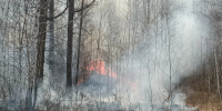 Высокая пожароопасность лесов ожидается в Нижегородской области - Комсомольская Правда