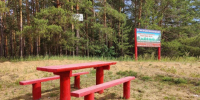 Более трех тысяч мест отдыха для граждан обустроено в нижегородских лесах - НТА-Приволжье