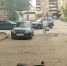 Живодер стреляет по собакам на Сортировке в Нижнем Новгороде - Время Н