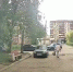 Неизвестный стреляет по бродячим собакам на Сортировке - Нижегородская правда