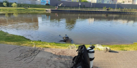 19-летний нижегородец утонул в Борском озере - Нижегородская правда