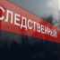 Бастрыкин взял на контроль гибель нижегородца из-за упавшего дерева - НИА Нижний Новгород