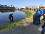 Следственный комитет проверит обстоятельства гибели человека в водоеме на Бору