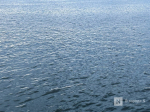 Гибель мужчин в нижегородских водоемах закончилась проверкой СК - фото 1