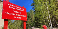 Нижегородцам рекомендуется воздержаться от посещения лесов в праздничные дни - Правительство Нижегородской области