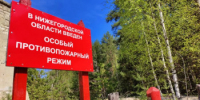 Нижегородцам рекомендуется воздержаться от посещения лесов в праздничные дни - Министерство лесного хозяйства