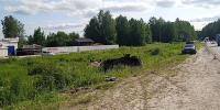 Два автомобиля перевернулись на трассе в Нижегородской области - фото 1 - vGorodeN.Ru