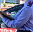 Не кормите голодного волка, иначе пустячная ссора с другом может закончиться трагедией - Нижегородские новости