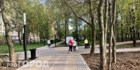Концерты, йога, настолки и роботы: как отметят День молодежи в парках Нижнего Новгорода - ProGorodNN.Ru
