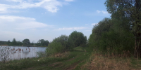 Семь водоемов пригодны для купания в Нижнем Новгороде - фото 1 - vGorodeN.Ru
