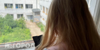 Учительница английского из Нижнего Новгорода осталась без денег, одолжив их знакомой, которой у нее никогда не было - ProGorodNN.Ru