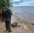 СК проверит обстоятельства гибели мужчины в водоеме в Городецком округе - Комсомольская Правда
