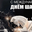 Ipsum - Федерация шахмат