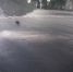 Двое погибли и двое пострадали в жутком ДТП на Бекетова в Нижнем Новгороде - Newsroom24.Ru
