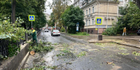 Сломанное дерево убрали с дороги на Звездинке в Нижнем Новгороде - НИА Нижний Новгород
