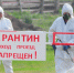 Карантин ввели в Нижегородской области из-за повилики - НИА Нижний Новгород