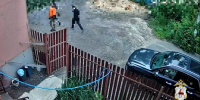В Нижнем Новгороде задержали подростков, которые обстреляли автобус из пневматического пистолета - ProGorodNN.Ru