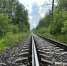 Железнодорожный путь выставили на торги в Кстовском районе  - фото 1 - vGorodeN.Ru