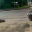 Мотоциклист в Нижнем Новгороде попал в больницу после наезда автомобиля - ИА Нижний сейчас