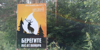 Высокая пожароопасность ожидается в Нижегородской области с 16 по 21 июля - Комсомольская Правда