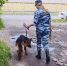 Собака Ялта помогла раскрыть кражу шоколада в Нижнем Новгороде - ИА Нижний сейчас