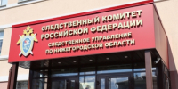 В Нижегородской области по информации из соцмедиа о нападении собаки на ребенка возбуждено уголовное дело - СУ СК РФ